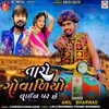 About Taro Govaliyo Line Par Chhe Song